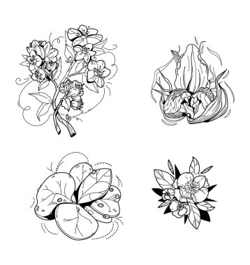 Bir demet gül yeşili yaprak çizgisi izole edilmiş. Bahar çiçekli güller siyah logo çelengi çizim bitkisi. Vektör illüstrasyon botanik sapı, yeşil yapraklar, çiçek çiçeği.