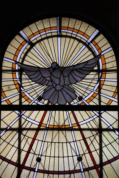 Stained Glass Window Depicting White Dove Symbol Peace — Stock Photo, Image