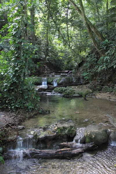 Cascadas Bosque Cerca Del Sitio Arqueológico Palenque México — Foto de Stock