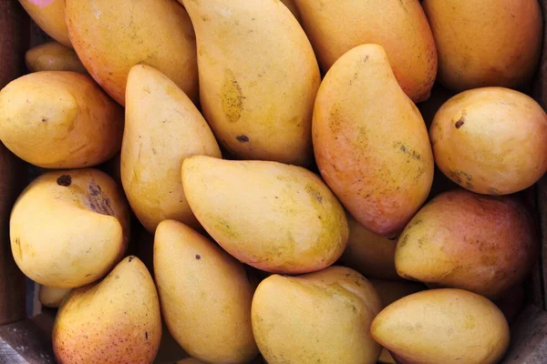 メキシコの地元市場で黄色の甘い黄金のマンゴーの閉鎖 — ストック写真