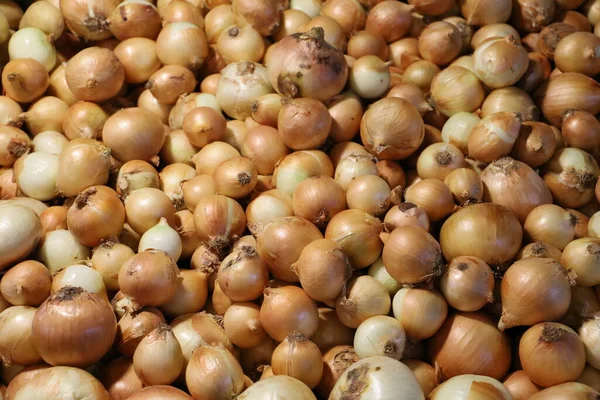 Fresh Onions Displayed Greengrocer — Stock Photo, Image