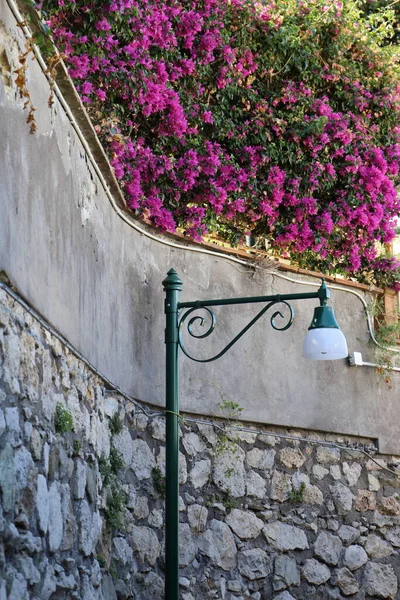 Lámpara Calle Típica Con Flores Bouganville — Foto de Stock