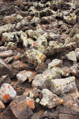 Lobos Adası, Corralejo açıklarında büyük oranda ıssız bir volkanik ada. Fuerteventura, İspanya