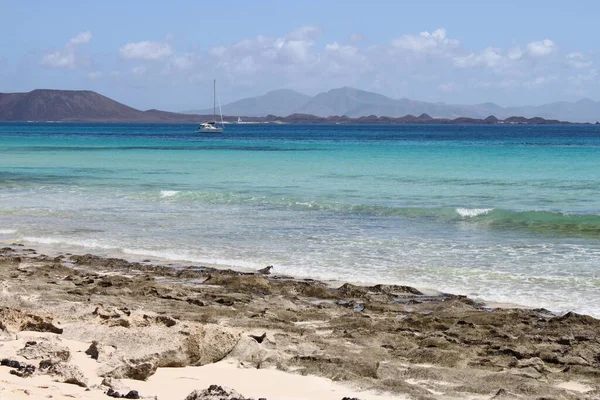 Fuerteventura 'daki Corralejo plajı. Kanarya Adaları, İspanya