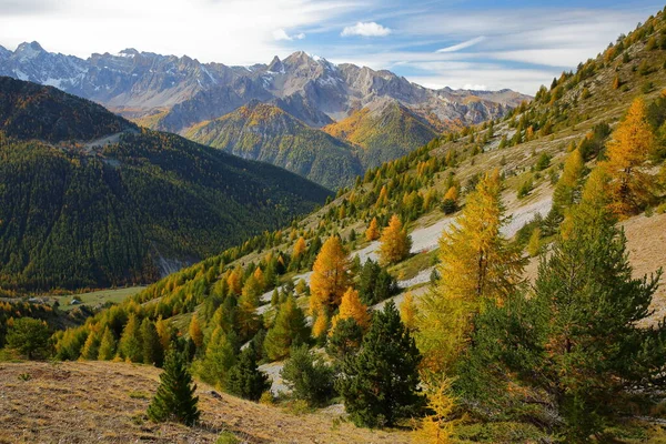 stock image View towards Cristillan valley (above Ceillac village) from a hiking pass leading to Fromage pass, Queyras Regional Natural Park, Southern Alps, France, with Autumn colors and larch trees