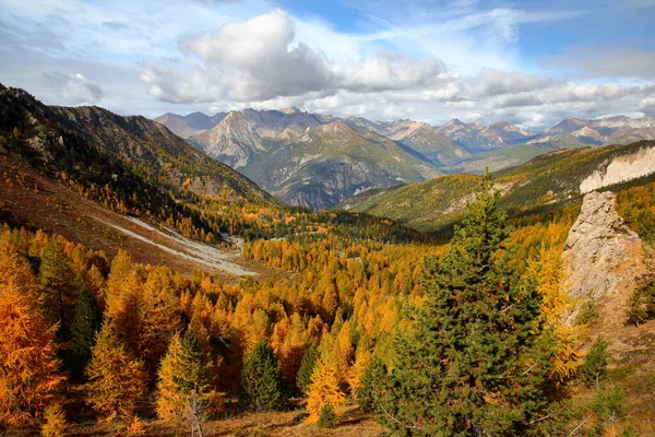 stock image View towards the Northern side of Fromage pass (located above Ceillac village), with Autumn colors, larch trees and mountain range in the background, Queyras Regional Natural Park, Southern Alps, France