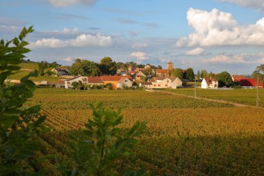 Üzüm bağları ve Gevrey Chambertin köyü, Burgundy, Fransa