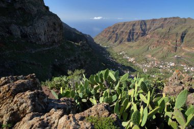 Spectacular view towards the Valle Gran Rey, La Gomera, Canary Islands, Spain, with Cactus plants in the foreground and the plunging cliffs of Valle Gran Rey. Picture taken from a hiking trail between Valle Gran Rey and El Cercado
