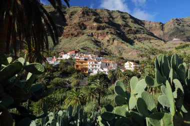 Mountainous and green landscape with cactus plants and palm trees in Los Granados, Valle Gran Rey, La Gomera, Canary Islands, Spain. Picture taken from a path between Los Granados and Chele above Valley Gran Rey