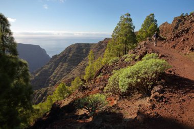 A panoramic hiking trail from Arure to La Merica overlooking the Valle Gran Rey, La Gomera, Canary Islands, Spain, with plunging cliffs of the Valle Gran Rey and green landscape