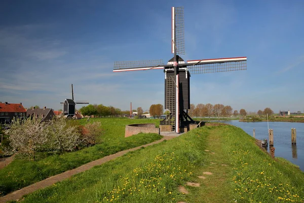 Windmühlen Bei Heusden Nordbrabant Niederlande Eine Befestigte Stadt Die 19Km — Stockfoto