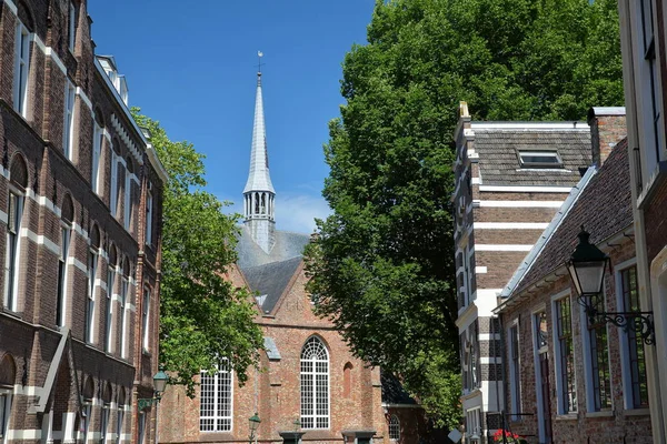 Église Jacobijnerkerk Vue Rue Grote Kerkstraat Leeuwarden Frise Pays Bas — Photo