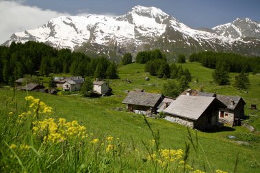 The well preserved and listed hamlet Le Monal and its traditional houses, Sainte Foy Tarentaise, Northern French Alps, alpes du nord, Savoie, France, with the  summit Mont Pourri in the background  clipart