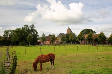 Fougdum köyü, Dokkum, Friesland, Hollanda yakınlarındaki Maria Kilisesi (Maria Kerk) ve ön planda bir atla