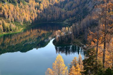 Colorful Autumn scenery in Tauplizalm, Bad Mitterndorf, Salzkammergut, Styria, Austria, Europe, with reflections on the lake Steirersee clipart