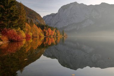 Altaussee 'deki Altaussee, Bad Aussee, Salzkammergut, Styria, Avusturya, Avrupa' daki Trisselwand Dağı 'na ait renkli sonbahar manzarası ve yansımaları.