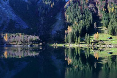 Renkli Sonbahar manzarası ve yansımaları The Vorderer Gosausee (aşağı göl), Salzkammergut, Styria, Avusturya, Avrupa
