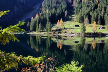 Renkli Sonbahar manzarası ve yansımaları The Vorderer Gosausee (aşağı göl), Salzkammergut, Styria, Avusturya, Avrupa