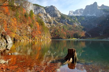 Renkli sonbahar manzarası ve yansımaları Hinterer Gosausee (yukarı göl), Salzkammergut, Styria, Avusturya, Avrupa, arka planda Dachstein dağları ile