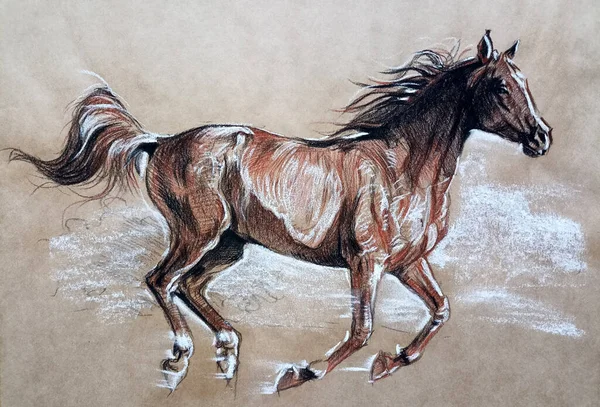 Running Horse Drawing Art Illustration Sepia Pencil — Stock Photo, Image