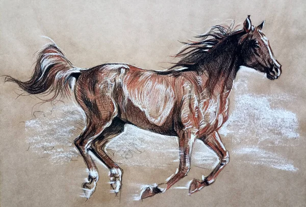 Correr Caballo Dibujo Arte Ilustración Sepia Lápiz — Foto de Stock