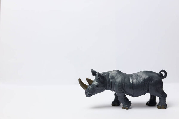 a closeup shot of a toy figurine of a rhino isolated on a white background