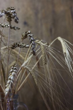 Tahta bir arka planda yulaf kulağı