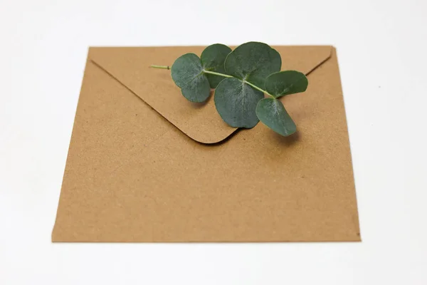 白い背景に緑の葉が付いている茶色の封筒 — ストック写真