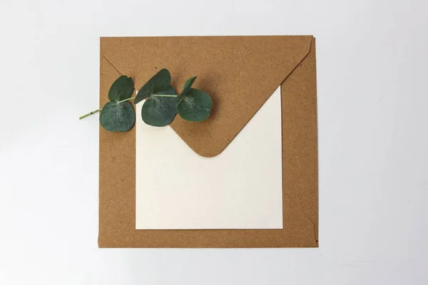 白いバックグラウンの白いノートカードと緑の葉が付いている茶色の封筒 — ストック写真