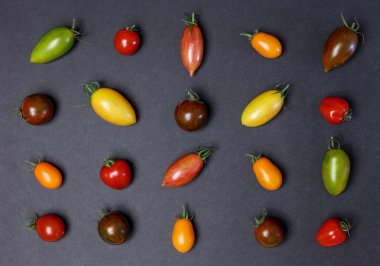 Siyah arkaplanda çok renkli domatesler var.