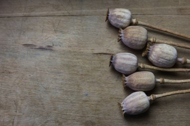 Ahşap arka planda gelincikler.