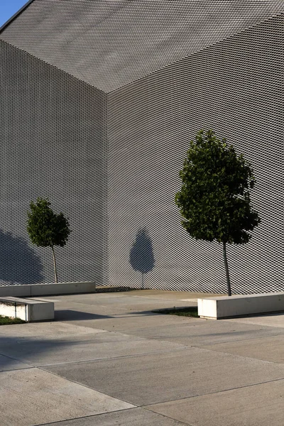 Stadsbyggnad Med Ett Ungt Träd Utomhus — Stockfoto
