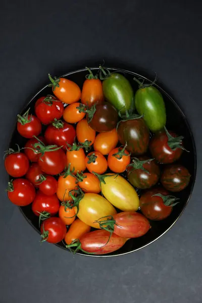 Veriety Multicolored Tomatoes Black Background — Stock Photo, Image