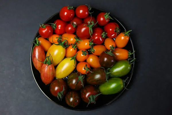 Variety Multicolored Tomatoes Black Background — Stock Photo, Image