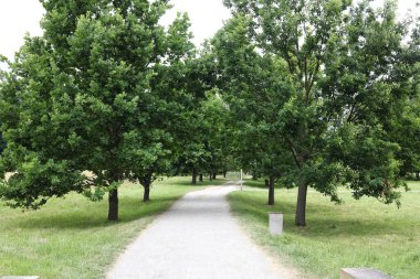 Parktaki patikanın güzel bir görüntüsü. 