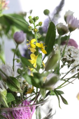 seçici odak noktası güneş altındaki cam kavanozdaki yabani çiçekler.
