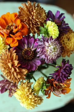 Naneli arka planda çok renkli kuru yaz çiçekleri