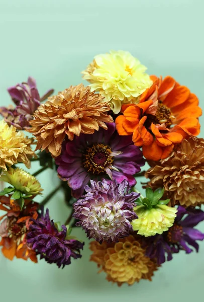 Разноцветные Сухие Летние Цветы Мятном Фоне — стоковое фото