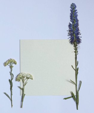 Boş bir altın kartla kurumuş çiçekleri.