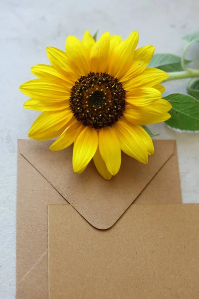白いメッセージカードと明るい黄色のサンフラワーが付いている茶色の封筒 — ストック写真