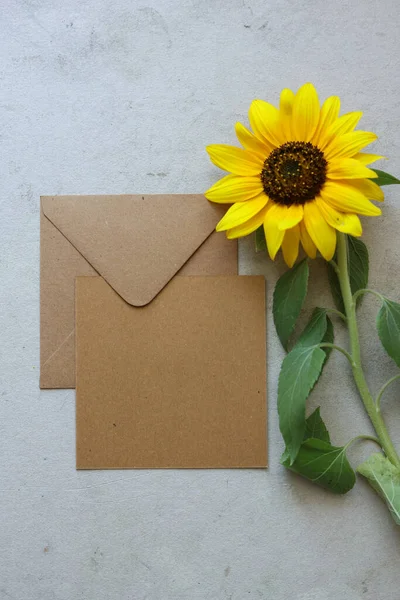 Brown Envelope Blank Message Card Bright Yellow Sunflower — Stock Photo, Image
