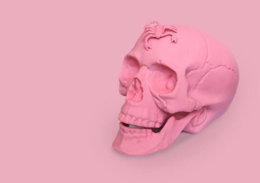 Pembe arka planda akrep olan pastel pembe kafatası.