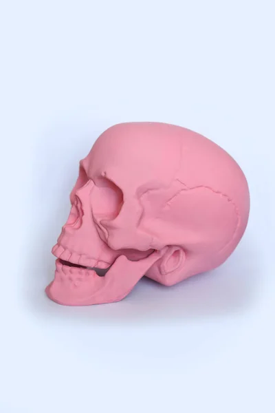 Cráneo Color Rosa Pastel Lado Sobre Fondo Blanco — Foto de Stock