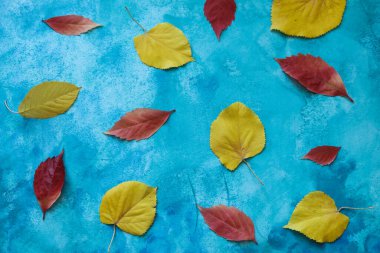 Sarı ve kırmızı sonbahar yaprakları mavi suluboya arka planda