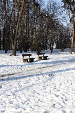Parktaki banklar karla kaplı. 
