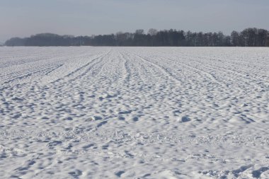 Karla kaplı bir tarlası olan bir kış manzarası