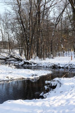Güzel kış manzarası, karla kaplı ağaçlar ve küçük bir nehir. 