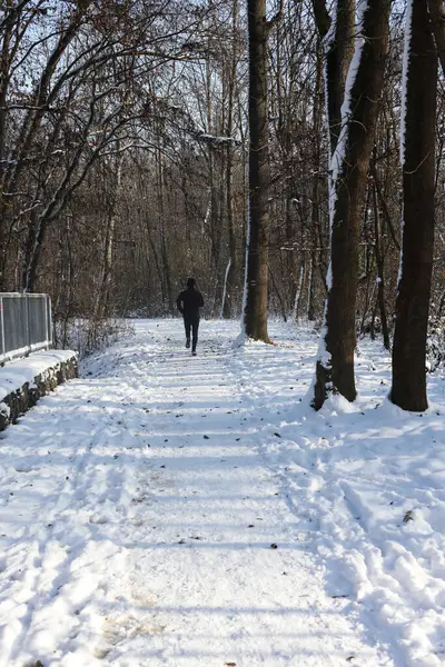 a winter landscape with a person running through a forest trail covered in snow