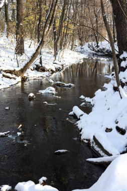 Güzel kış manzarası, karla kaplı ağaçlar ve küçük bir nehir. 