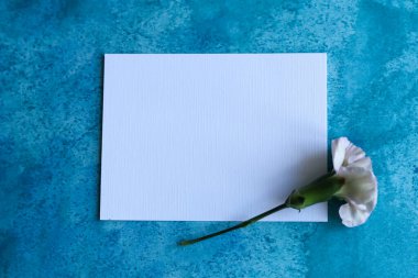 Kağıt üzerinde tek bir karanfil çiçeği